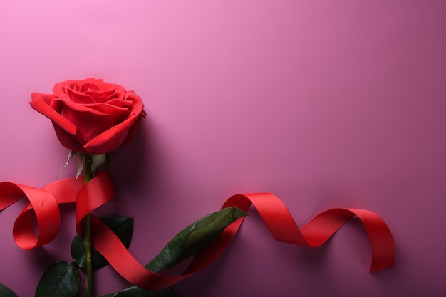 Valentinstaghintergrundgrußkarten-Liebessymbole, rote Dekoration mit Rosen auf rosa Hintergrund. Draufsicht mit Kopienraum und -text Flache Lage