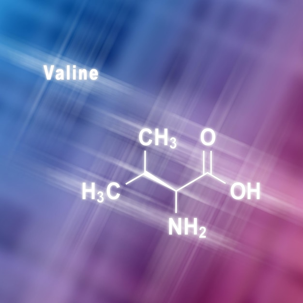 Valina lvalina Val V aminoácido estructura química