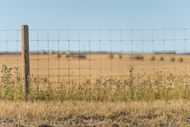 Valla de alambre con campos de cultivo detrás