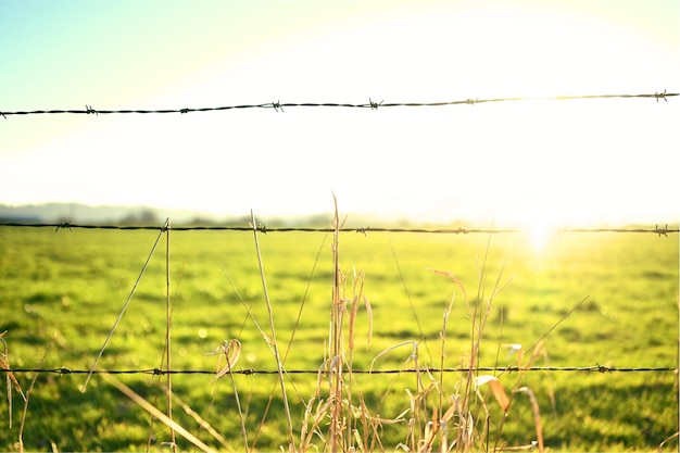 Foto valla de alambre de púas en el campo contra el cielo