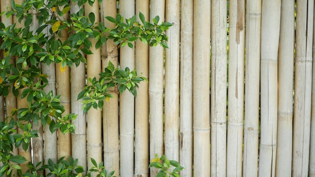 Valla de bambú rodeada de exuberante vegetación. Cerca de bambú duradera y arbustos de color verde brillante en Tailandia.