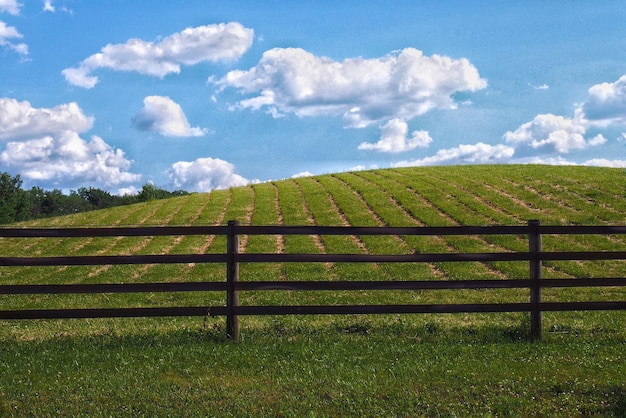 Valla en el campo de hierba contra el cielo