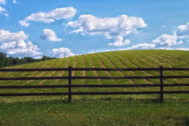 Foto valla en el campo de hierba contra el cielo