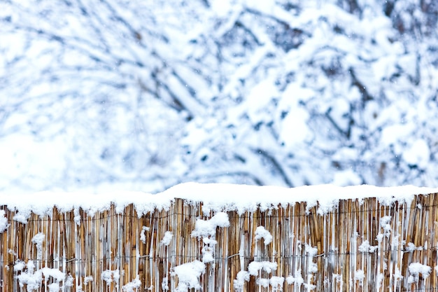 Valla de invierno AA en la naturaleza en el fondo del parque