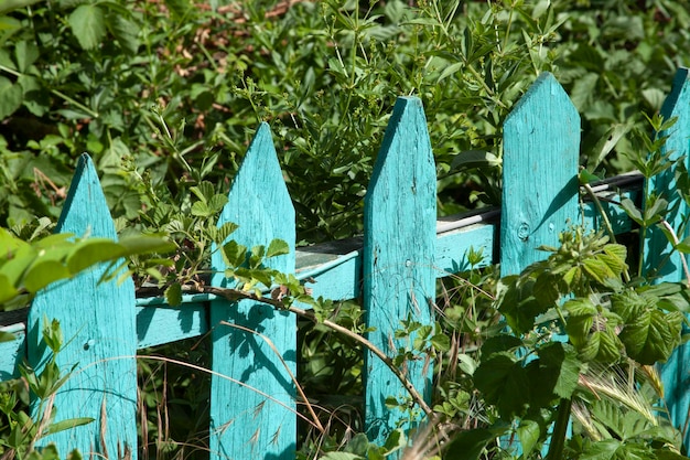 Valla de jardín de madera turquesa en hierba amarilla