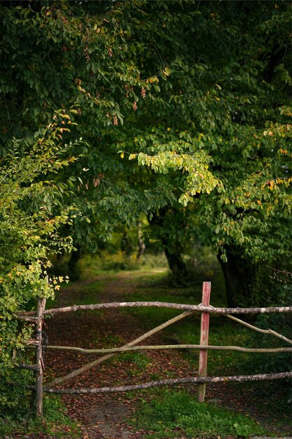 valla de madera en el bosque