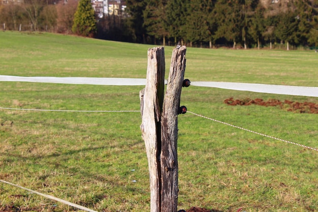 Foto valla de madera en el campo