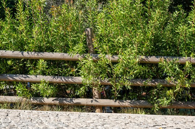 Valla de madera en la carretera