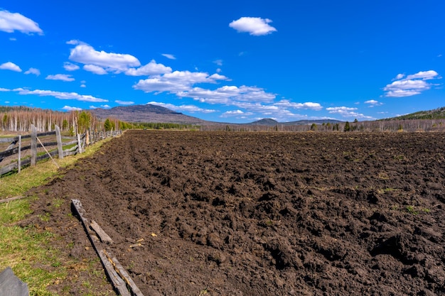 Valla de madera de la granja Ural del Sur y tierra cultivable con una vegetación paisajística única y diversidad de la naturaleza