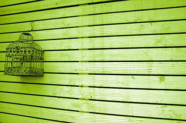 Valla de madera grunge de color verde lima con una jaula de pájaros vacía