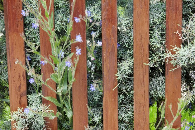 valla de madera en el jardín