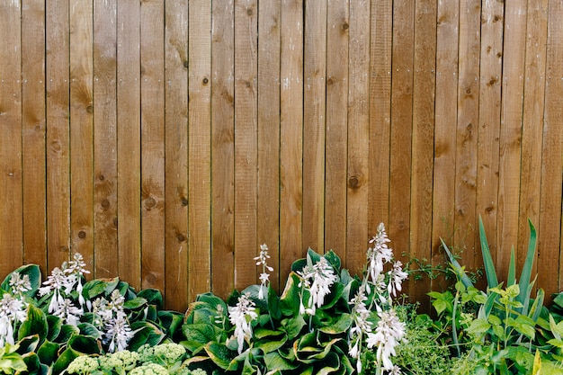 Foto valla de madera con plantas debajo.