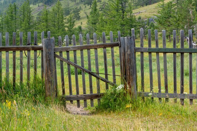 Valla de madera rusa antigua con un portillo curvo. Hierba verde alrededor y árboles en el fondo. Imagen horizontal.