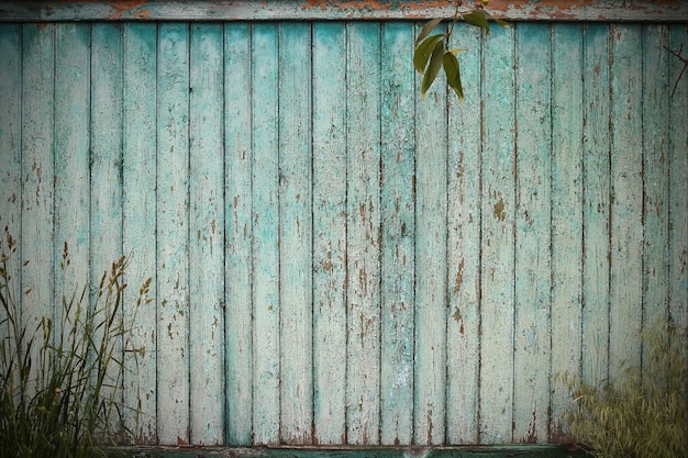 Valla de madera verde, hierba verde y hojas