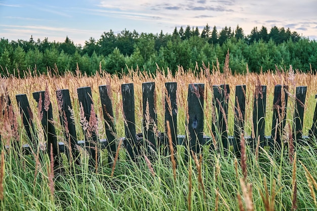 Valla de madera vieja en hierba alta al atardecer del día