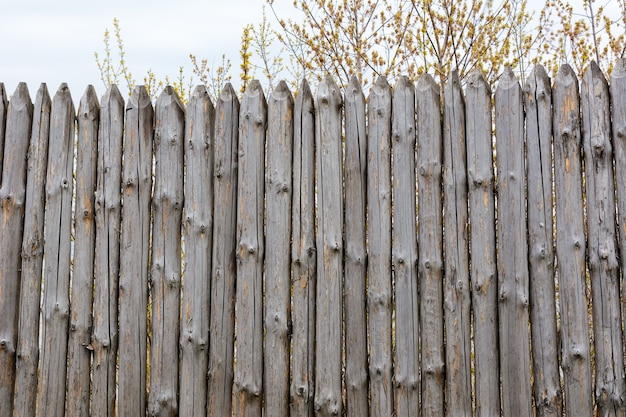 Valla en mal estado en el soleado día de primavera. Textura de fondo de la antigua valla de madera gris de troncos enteros con nudos. Material natural.