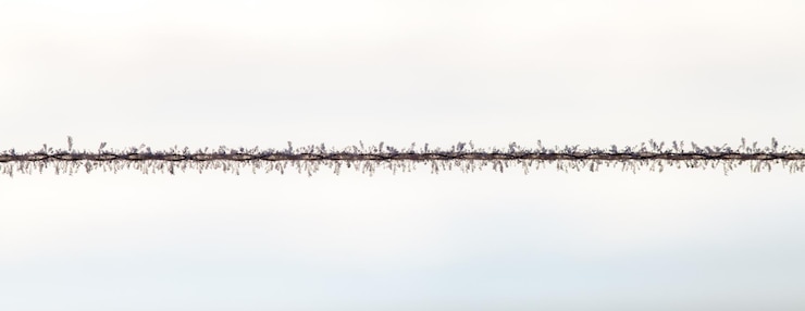 Foto valla metálica congelada contra el cielo