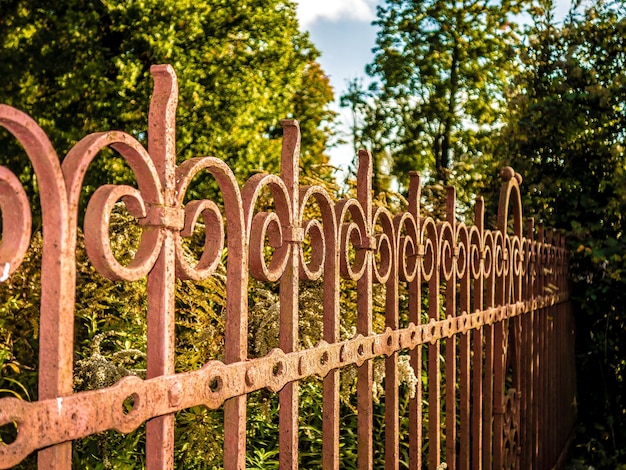 Valla metálica oxidada por los árboles en el campo