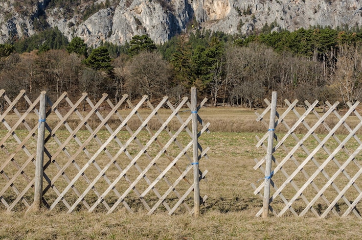 Foto valla en la naturaleza