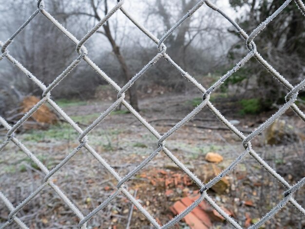 Valla de tela metálica completamente congelada por la escarcha provocada por la niebla y las bajas temperaturas durante el invierno y un bosque con niebla de fondo