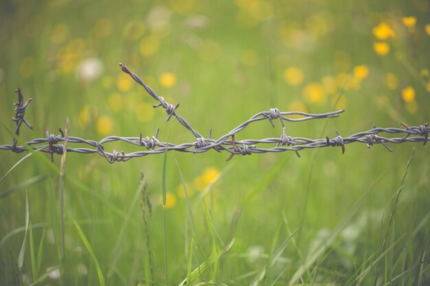 Foto vallas de alambre de púas en el campo