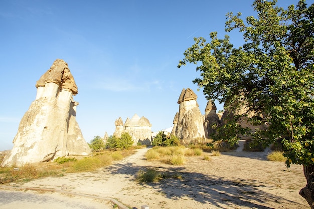 Valle del amor en el parque nacional de Goreme Cappadocia Turquía