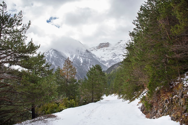 Valle de Bujaruelo en el parque nacional de Ordesa y Monte Perdido con nieve.