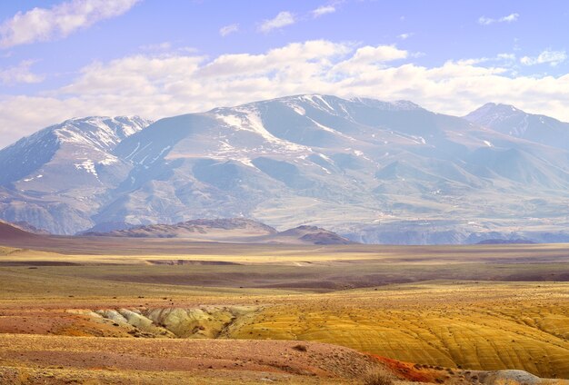 Valle de Chui en las montañas de Altai La pendiente de la terraza del río con la exposición