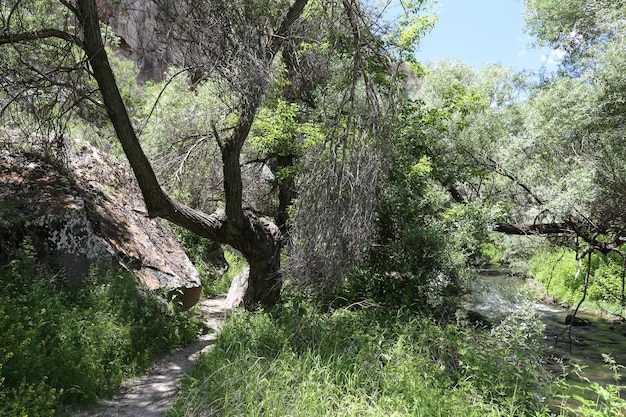 Valle de Ihlara en Capadocia Turquía