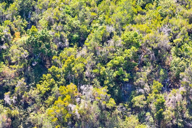 Foto valle en las islas canarias