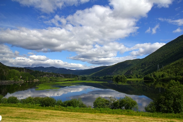 Valle con lago y bosque