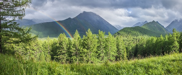 Valle de montaña boscoso con arco iris, clima lluvioso