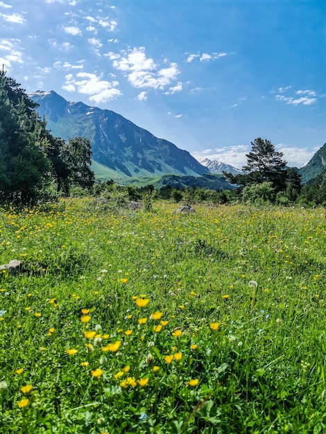 Un valle de montaña en el desfiladero del río CherekBalkar en las cercanías del tramo de Ushtulu Cáucaso 2021