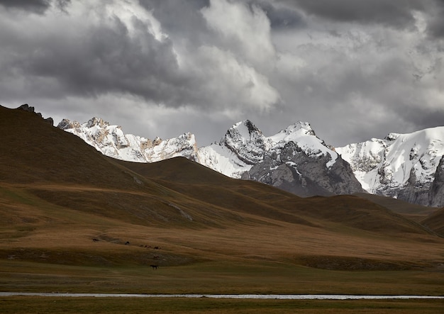 Valle de montaña en Kirguistán