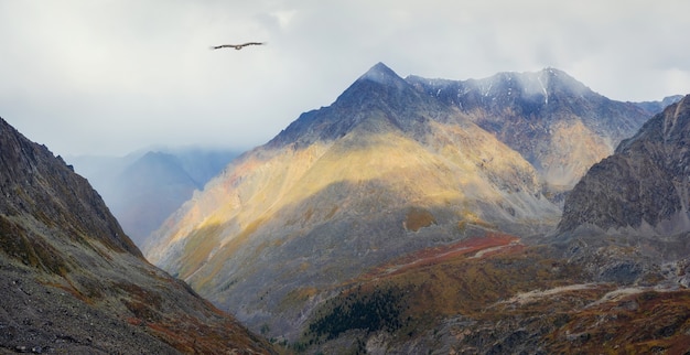 Valle de montaña místico. Cartel de otoño de las montañas de Altai. Escena soleada de otoño del valle de la montaña. Fotografía de paisaje. Hermoso paisaje de otoño.