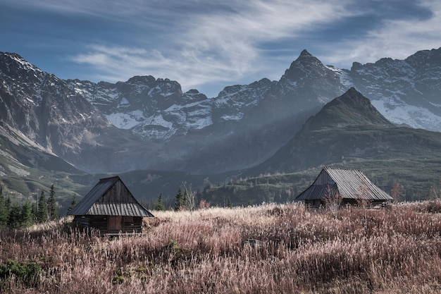 Valle en la montaña Tatra en otoño Fauna en Polonia