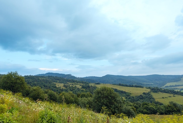 Valle de montaña de verano por la noche y pendiente floreciente (Cárpatos, Óblast de Lviv, Ucrania).