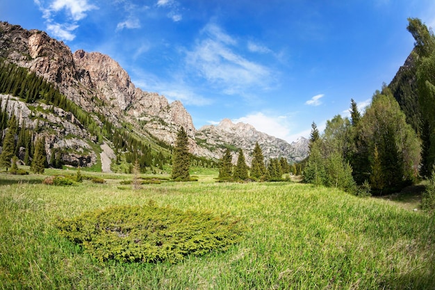 Valle entre montañas