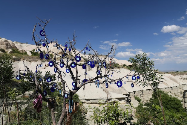 Valle de las palomas en Capadocia