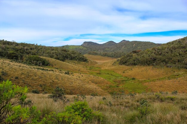 Valle en el Parque Nacional Horton Plains en Sri Lanka