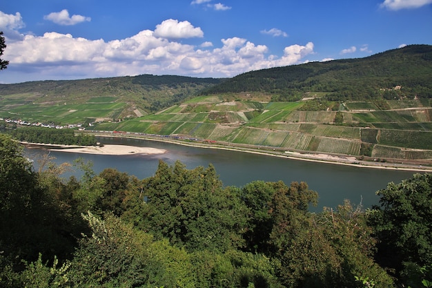 Valle del Rin en Alemania occidental