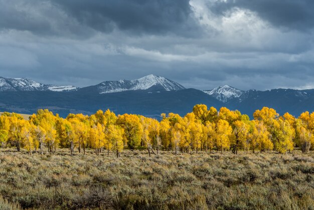 Valle del río Gros Ventre