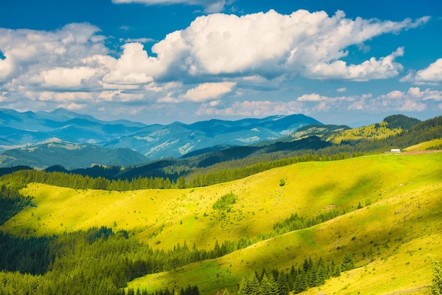 Valle soleado verde en las montañas