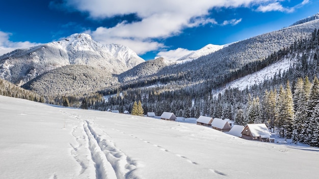 Valle de Tatra al amanecer en el invierno Montañas Tatra Polonia