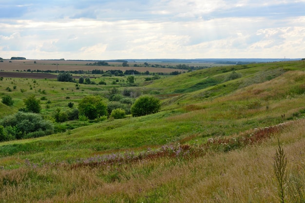 valle verde con arbustos y campo agrícola y cielo nublado en el horizonte