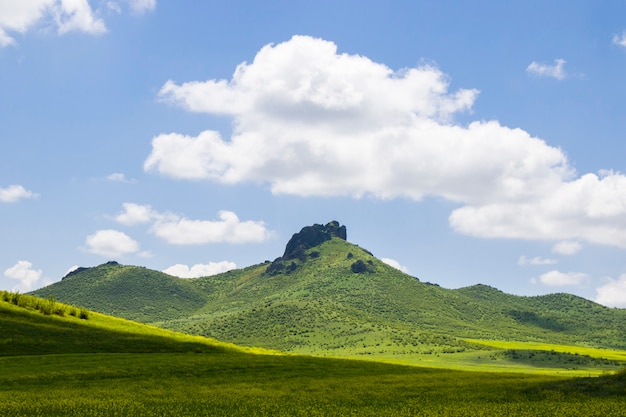 Foto valle verde y campo, paisaje primaveral en georgia