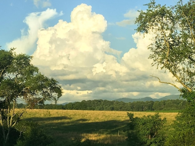 Valle verde y un cielo nublado