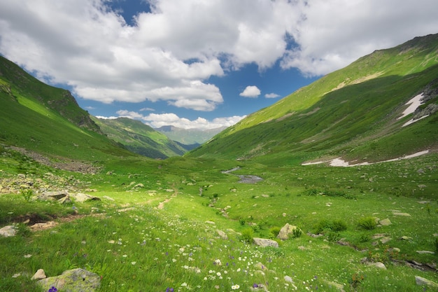 Valle verde de la montaña de verano en el día