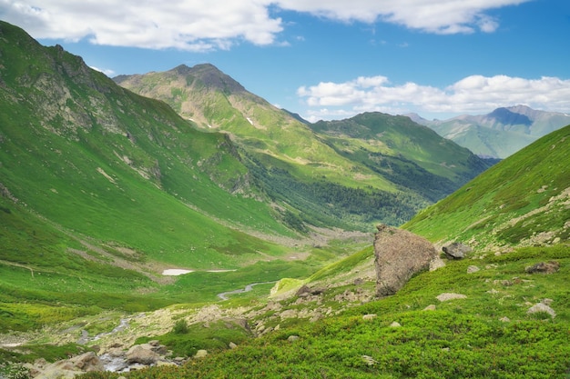 Valle verde de la montaña de verano en el día