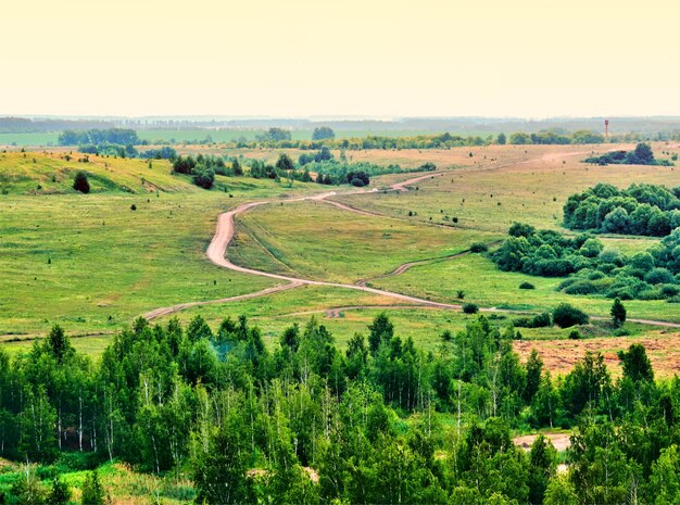 Valle verde de verano con fondo de paisaje de carreteras de campo